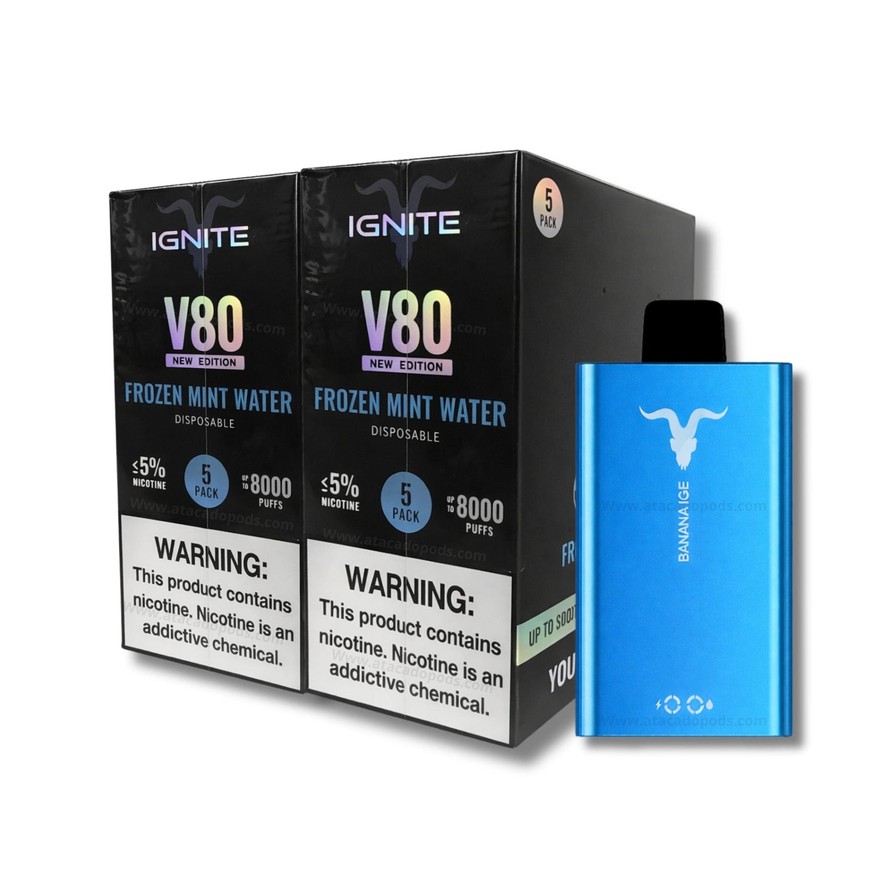 Ignite V80 (New Eddition)